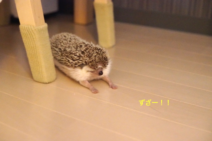 f:id:chikojirou:20161026213527j:plain f:id:chikojirou:20161026213527j:plain