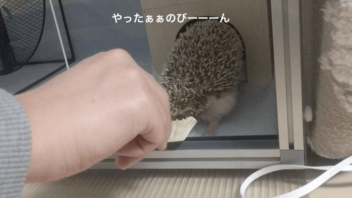f:id:chikojirou:20161214214029p:plain