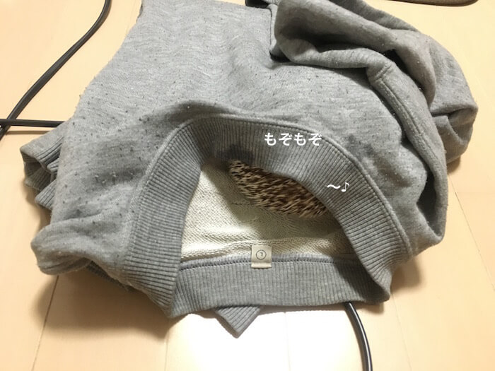 f:id:chikojirou:20170107215113j:plain