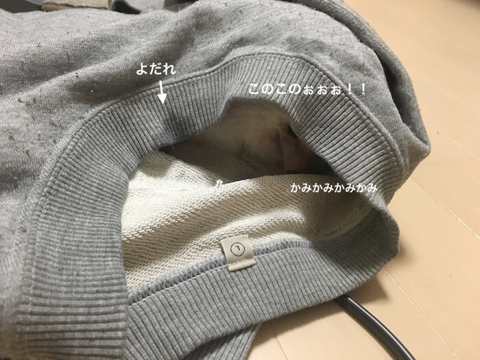 f:id:chikojirou:20170107215139j:plain