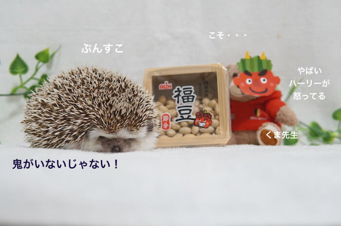 f:id:chikojirou:20170204220116j:plain