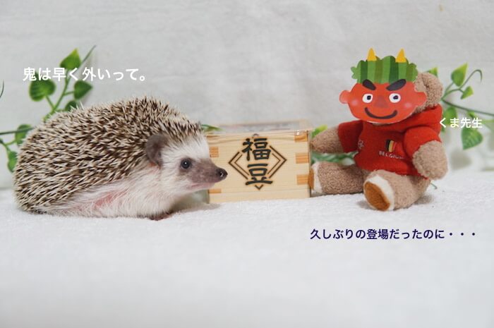 f:id:chikojirou:20170204220136j:plain