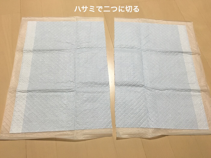 f:id:chikojirou:20170210220827j:plain f:id:chikojirou:20170210220827j:plain
