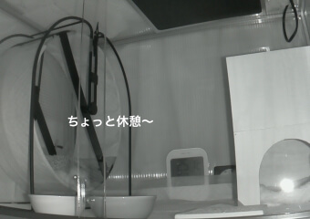 f:id:chikojirou:20170210221204j:plain f:id:chikojirou:20170210221204j:plain