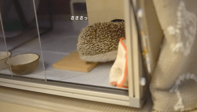 f:id:chikojirou:20170410220459p:plain f:id:chikojirou:20170410220459p:plain