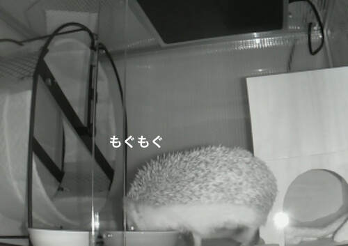 f:id:chikojirou:20170410220604j:plain f:id:chikojirou:20170410220604j:plain