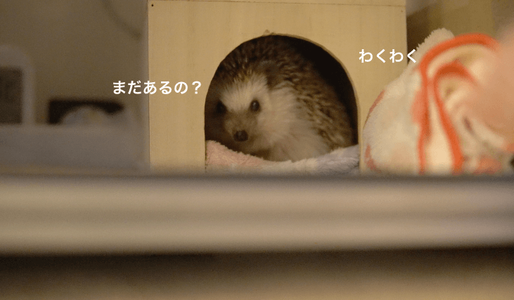f:id:chikojirou:20170419220456p:plain