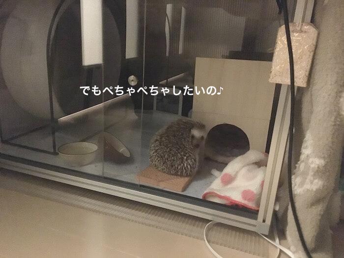 f:id:chikojirou:20170421214604j:plain