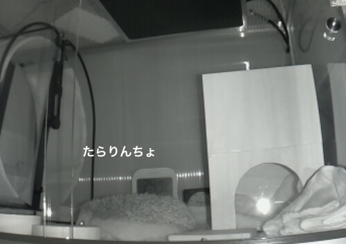 f:id:chikojirou:20170519214340j:plain