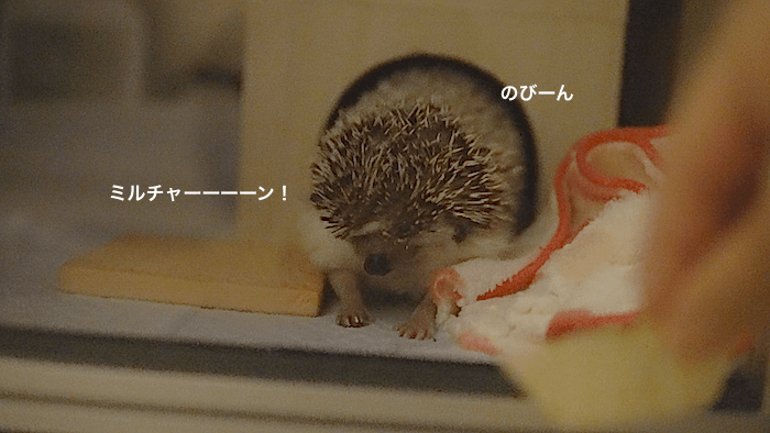 f:id:chikojirou:20170522172515p:plain