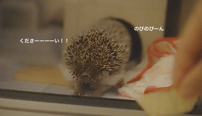 f:id:chikojirou:20170522172533p:plain