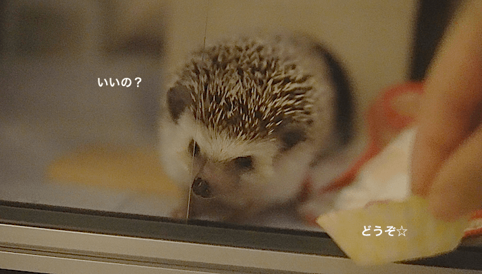 f:id:chikojirou:20170522172549p:plain