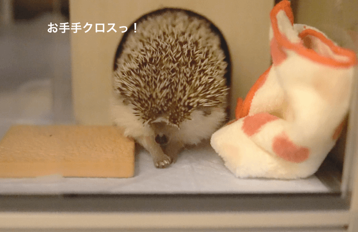 f:id:chikojirou:20170531212434p:plain f:id:chikojirou:20170531212434p:plain