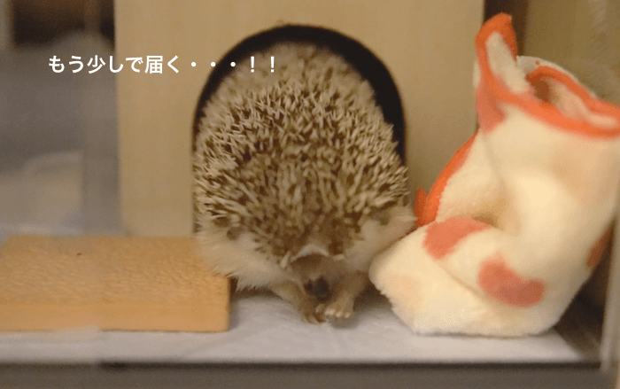 f:id:chikojirou:20170531212448p:plain f:id:chikojirou:20170531212448p:plain