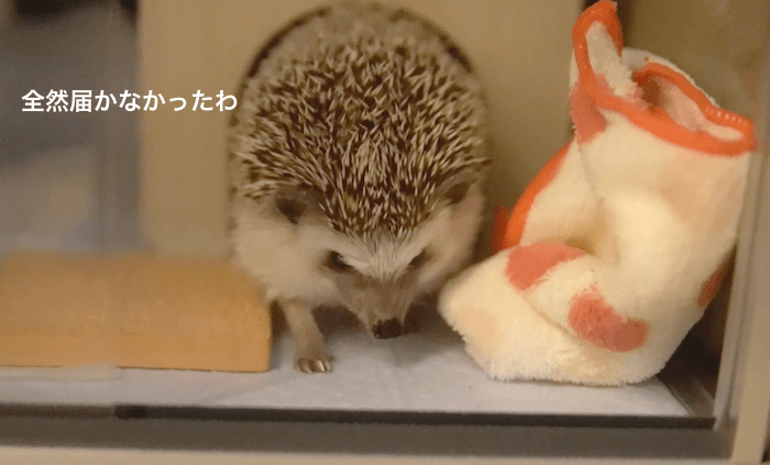 f:id:chikojirou:20170531212503p:plain f:id:chikojirou:20170531212503p:plain