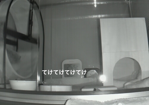 f:id:chikojirou:20170531212618j:plain f:id:chikojirou:20170531212618j:plain