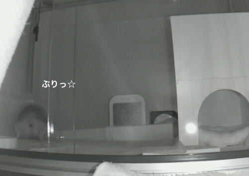 f:id:chikojirou:20170601214311j:plain