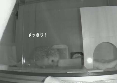 f:id:chikojirou:20170601214322j:plain