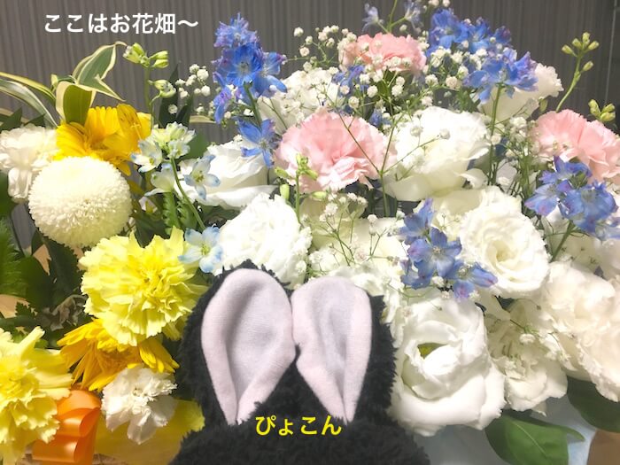 f:id:chikojirou:20170807212309j:plain f:id:chikojirou:20170807212309j:plain