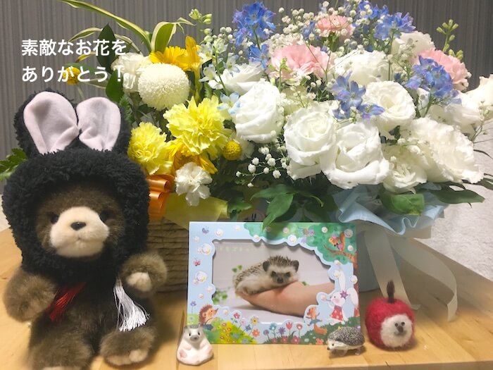 f:id:chikojirou:20170807212350j:plain f:id:chikojirou:20170807212350j:plain
