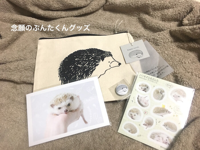 f:id:chikojirou:20170807212434j:plain f:id:chikojirou:20170807212434j:plain