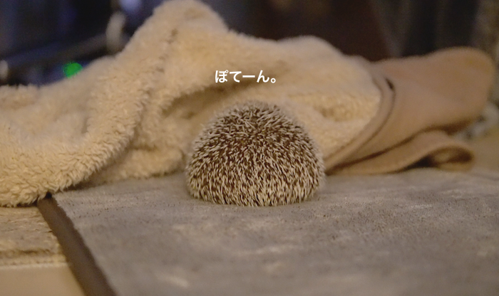 f:id:chikojirou:20171022213152p:plain
