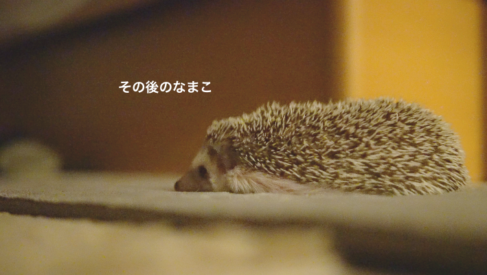 f:id:chikojirou:20171121214128p:plain f:id:chikojirou:20171121214128p:plain