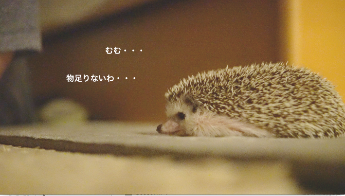 f:id:chikojirou:20171121214319p:plain f:id:chikojirou:20171121214319p:plain