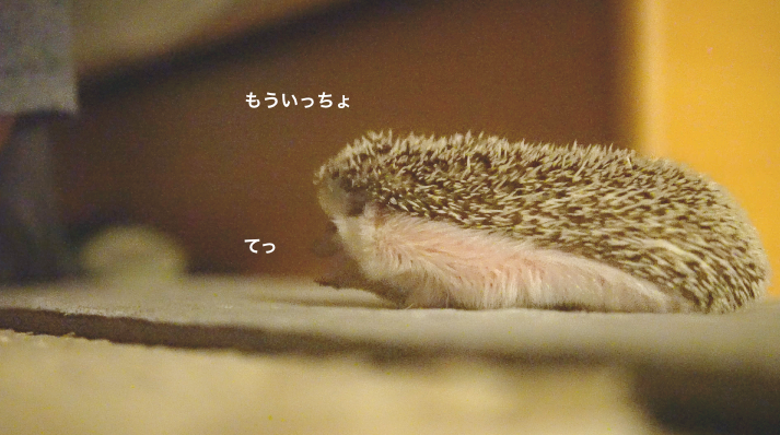 f:id:chikojirou:20171121214338p:plain f:id:chikojirou:20171121214338p:plain