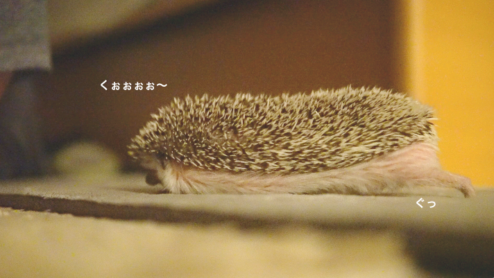 f:id:chikojirou:20171121214417p:plain f:id:chikojirou:20171121214417p:plain