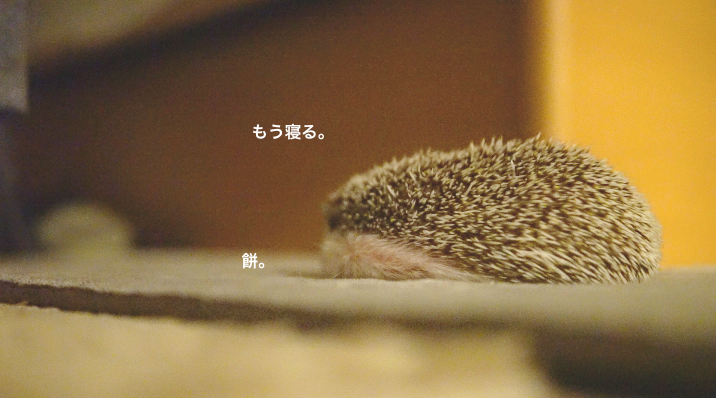f:id:chikojirou:20171121214450p:plain f:id:chikojirou:20171121214450p:plain
