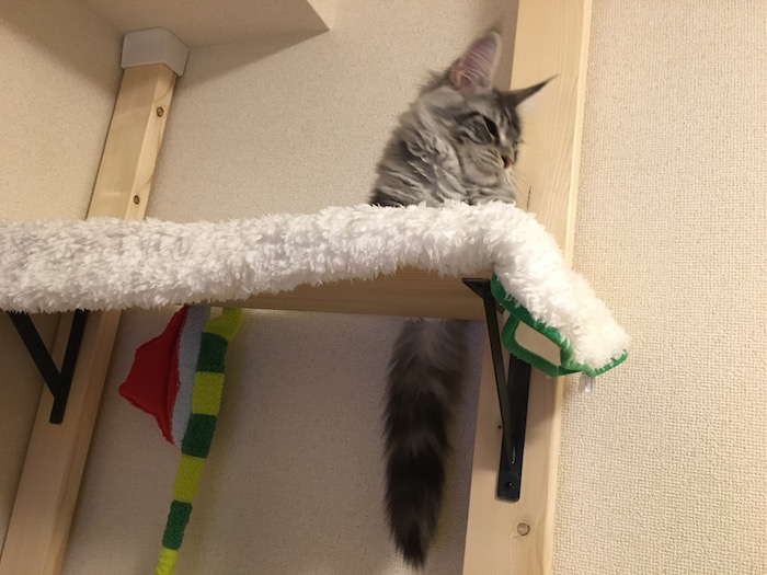f:id:chikojirou:20180128205853j:plain