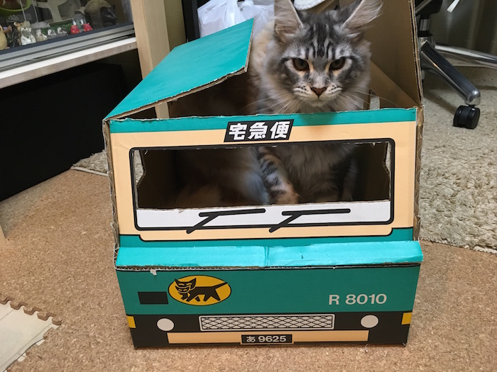 f:id:chikojirou:20180128210220j:plain