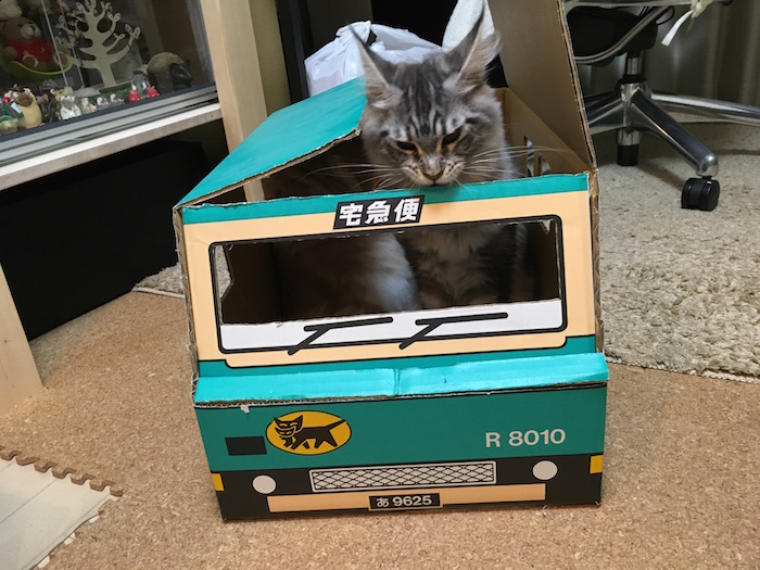 f:id:chikojirou:20180128210245j:plain