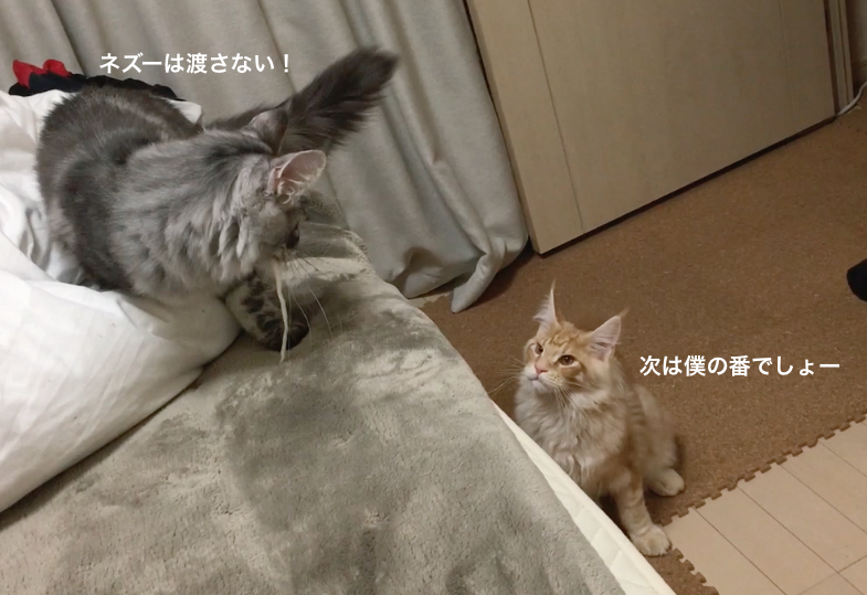 f:id:chikojirou:20180201170042p:plain