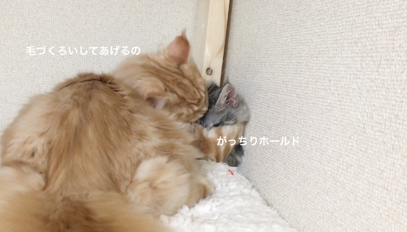 f:id:chikojirou:20180203220938p:plain