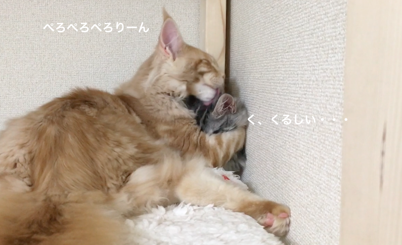 f:id:chikojirou:20180203220955p:plain