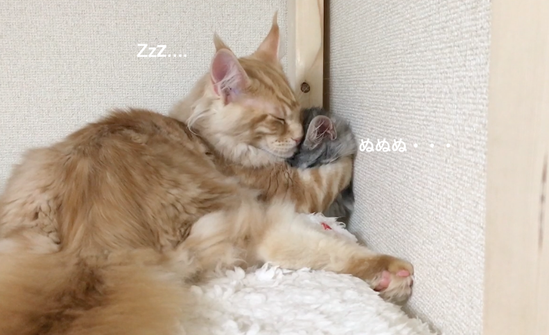 f:id:chikojirou:20180203221010p:plain