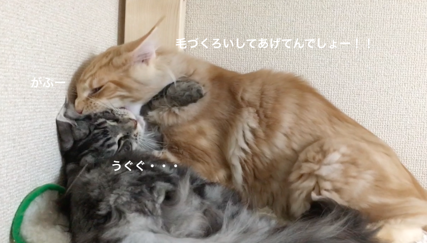 f:id:chikojirou:20180203221214p:plain