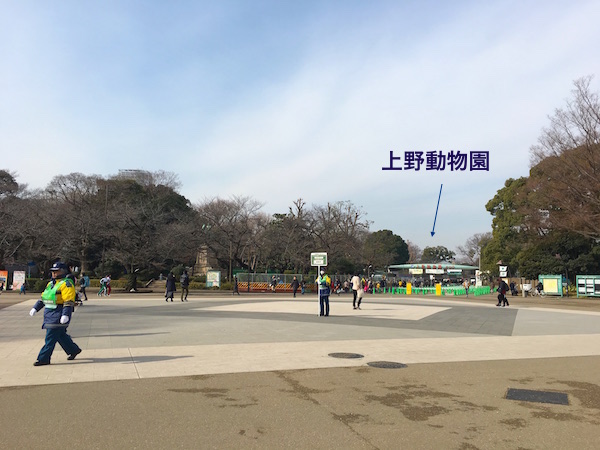 f:id:chikojirou:20180203221312j:plain