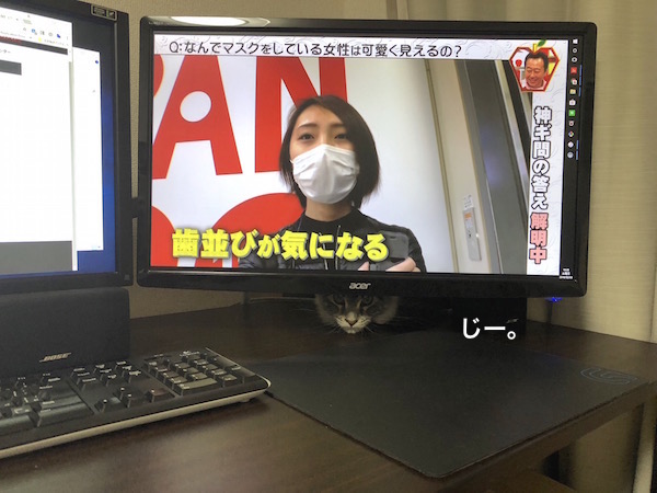 f:id:chikojirou:20180203221519j:plain