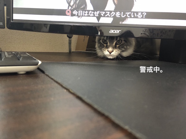 f:id:chikojirou:20180203221540j:plain