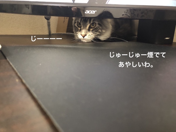 f:id:chikojirou:20180203221554j:plain
