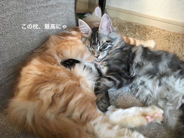 f:id:chikojirou:20180205214706j:plain