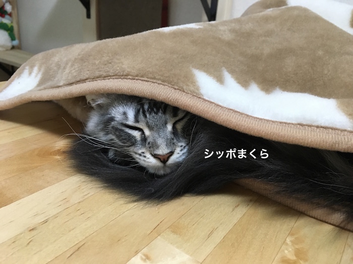 f:id:chikojirou:20180205215145j:plain