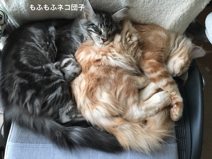 f:id:chikojirou:20180208224642j:plain