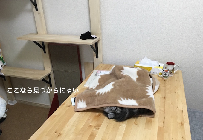 f:id:chikojirou:20180208224843j:plain