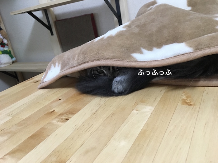 f:id:chikojirou:20180208224857j:plain