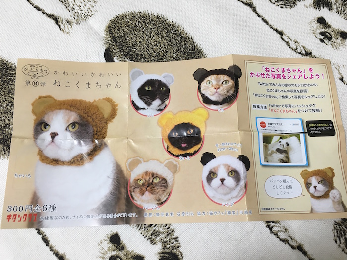 f:id:chikojirou:20180217215421j:plain