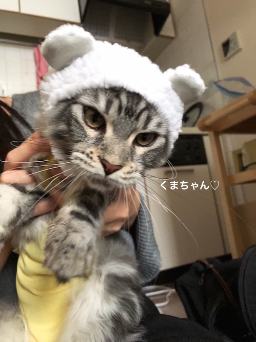 f:id:chikojirou:20180217215507j:plain
